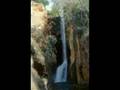 Otoñales