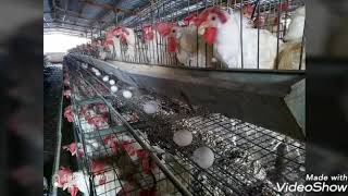 قرية دار صلاح