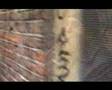 videos de What's behind Amsterdam?