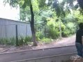 freerun sampler
