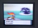 pokemon diamond Elite Four aaron
