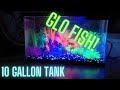 Glofish Glass Aquarium Kit 10 Gallon