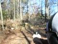 videos de S&W compact 9MM Fetus New years day girls shot too