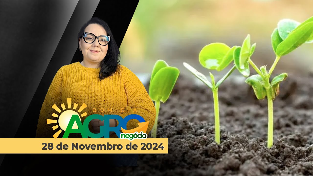 Bom dia Agro 28/11/24 - Mercado da soja
