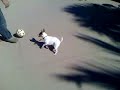 spot playing soccer.3g2