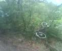 Holly Bush Jump