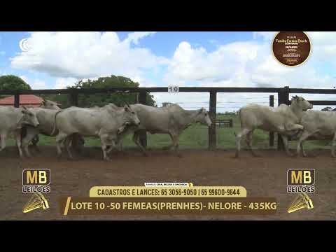 11� LEIL�O FAM�LIA LUCIANO DUARTE E CONVIDADOS