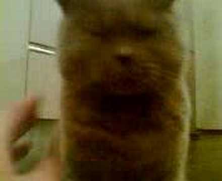 See video