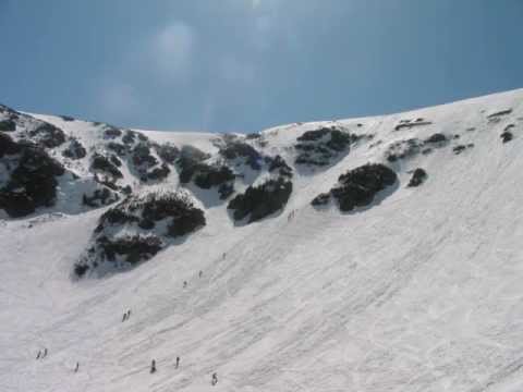 Tuckerman 2008
