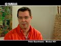 Peter Baartmans and the Yamaha Modus H01 Peter Baartmans and the Yamaha Modus H01