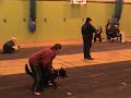 The Hotshots Flyball Team at Market Harborough