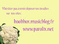 ceci est une parodie de papillon de lumi�re de cindy sander. j'ai �cris ces paroles si recherch�es et fait le d�tournement vid�o. boobbox est au chant et montage audio. nos sites : boobbox.musicblog.fr http n'oubliez pas d'aller voir le premier chapitre de ma saga disco : fr.youtube.com