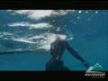 Speargun hunting a GIANT yellowfin tuna