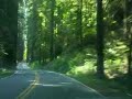 California Redwoods Drive California Redwoods Drive