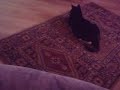 Tinka beim spielen xD