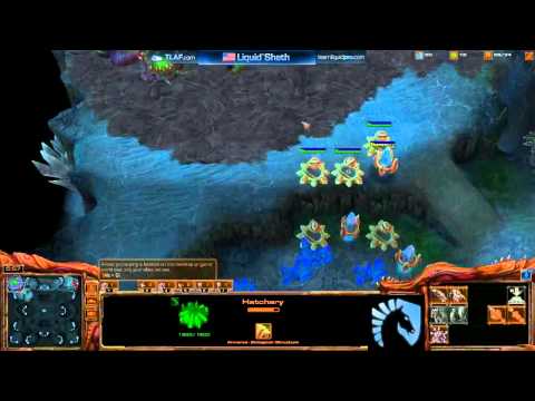 sheth - This guy was #3 GM on NA Sheth's twitter: http://twitter.com/liquidsheth Sheth's live stream: http://www.twitch.tv/liquidsheth.