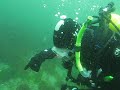 Tubesnouts and Ling Cod