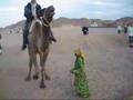 egypt adventures