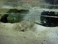 large stomatopod spearing food...