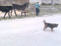 USTA?KI LEGIONAR U ZAGORI USTA?KI LEGIONAR U ZAGORI