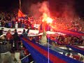 TIGRE LOCURA!