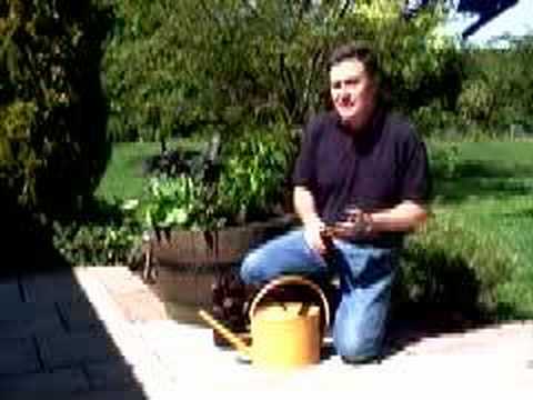 how to drain excess water from garden