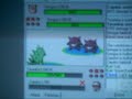 gengar-double-netbattle.html