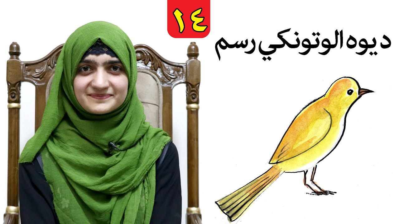 Class 2 _ LESSON 14 _ Art Skill / لوست ۱۴ ـ د رسامۍ هنر مضمون ـ دویم ټولګی