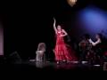 Los Flamencos First Night St. Louis 2009 Sheldon Concert Hall Dancing Los Flamencos First Night St. Louis 2009 Sheldon Concert Hall Dancing