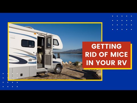 how to get rid of mice in rv trailer