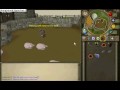 max hit with rune c'bow