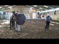 From Groundwork to Ridden