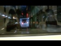 The Looking Glass 樂團 Studio Diary #5 / 錄音室日記#5