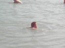 On the Balaton lake(Hungary)2008
