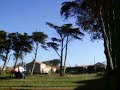 �lagage abattage