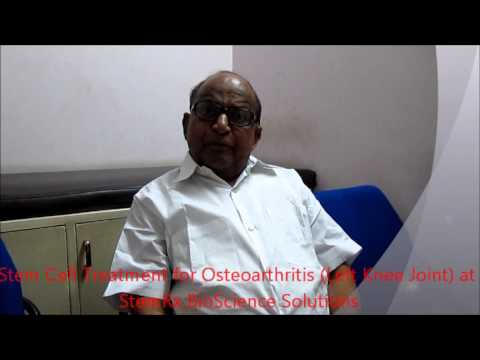 how to isolate msc from bone marrow