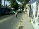 Lemus ni�o dawn