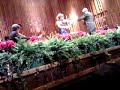 Benedetti - Mendelssohn Benedetti - Mendelssohn