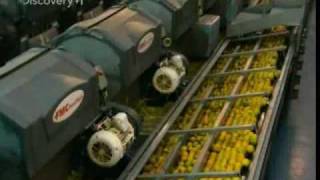 How Orange Juice is Made How Orange Juice is Made