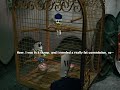 Grim Fandango: Meeting Meche and Domino again