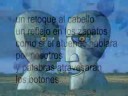 Crónica de unos zapatos (Comienzo)