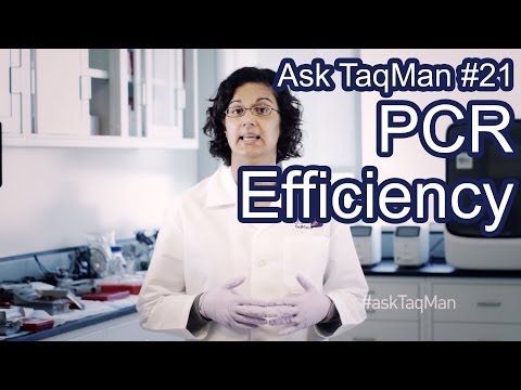 how to perform phenol coefficient test