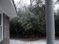 snow in Hartsville, SC.