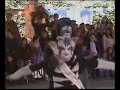 gatos chistosos