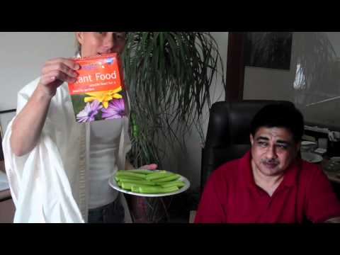 how to fertilize cucumbers organically