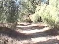 Trails of Puddingstone