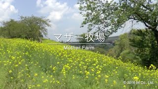 Mother Farm in Chiba