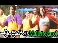 View Video