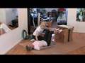 Wunda-Chair-Work-Out