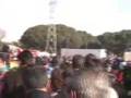 PINGÜINOS 2008